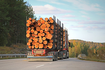 Image showing Logging Truck on Rural Road 