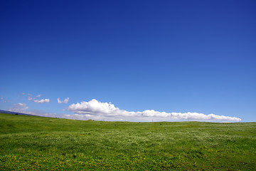 Image showing Background of sky and grass