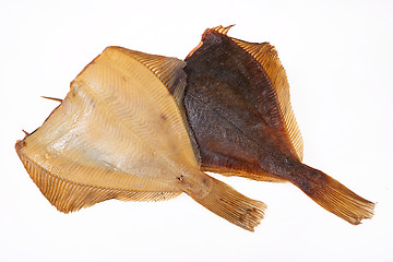 Image showing Fish