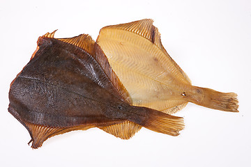 Image showing Fish