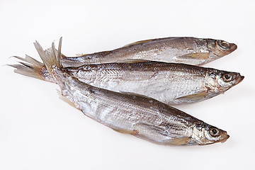 Image showing Fish