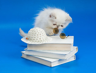 Image showing Kitten, Books And Glasses