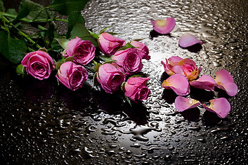 Image showing Roses And Petals On Black