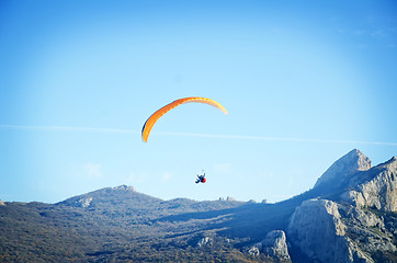 Image showing paraglider