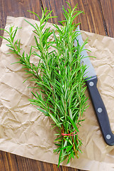 Image showing rosemary