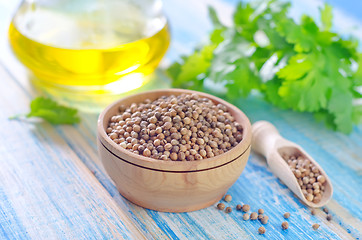 Image showing coriander