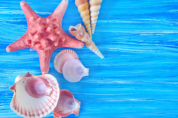 Image showing sea shells on blue board