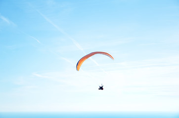 Image showing paraglider