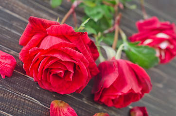 Image showing rose on wooden background