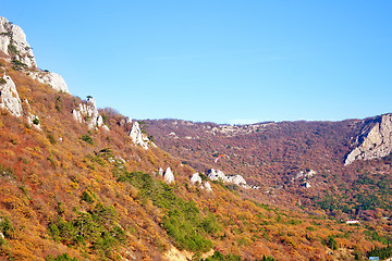 Image showing autumn landscape