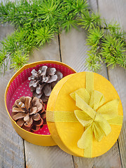 Image showing pinecones