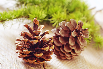 Image showing pinecones