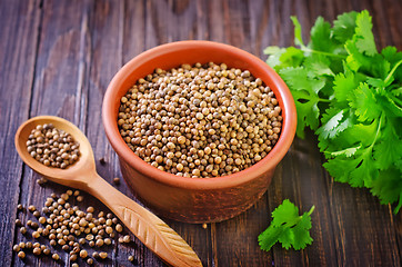 Image showing coriander