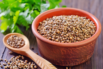 Image showing coriander