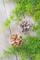 Image showing pinecones