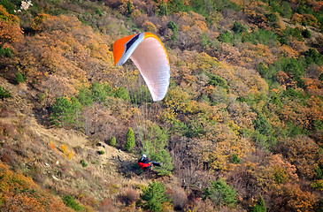 Image showing paraglider