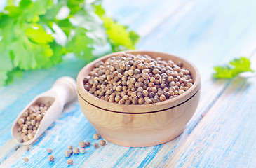 Image showing coriander