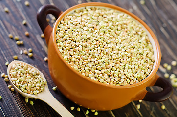 Image showing green buckwheat