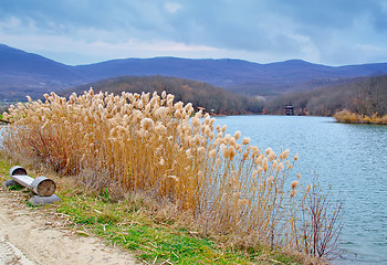 Image showing nature in crimea