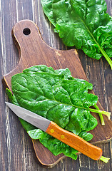 Image showing spinach on board