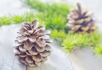 Image showing pinecones