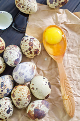 Image showing quail eggs