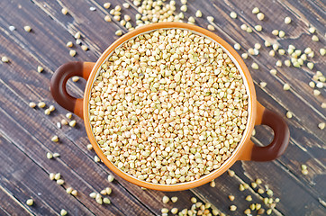 Image showing green buckwheat