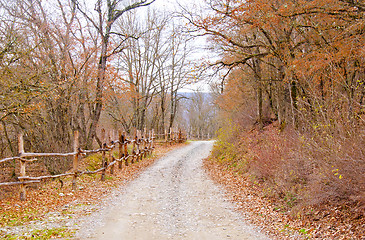 Image showing nature in crimea