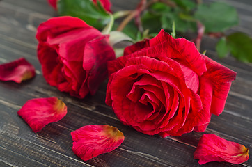 Image showing rose on wooden background