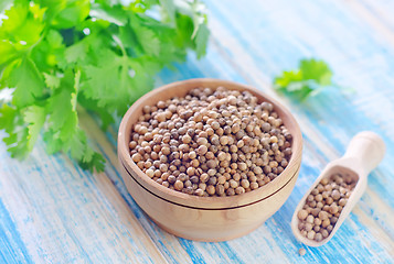 Image showing coriander