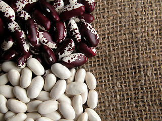 Image showing beans