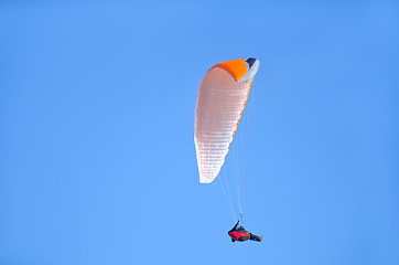 Image showing paraglider