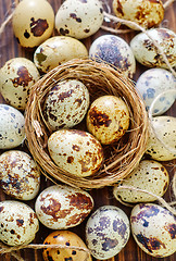 Image showing quail eggs