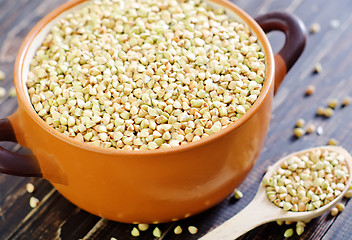 Image showing green buckwheat