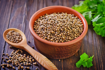 Image showing coriander