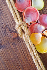 Image showing sea shells and rope