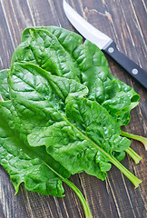 Image showing spinach on board