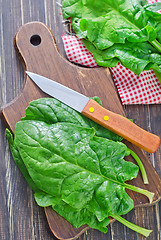 Image showing spinach on board