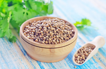 Image showing coriander