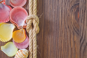 Image showing sea shells and rope