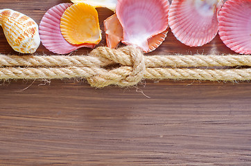 Image showing sea shells and rope