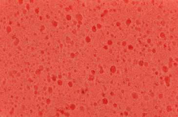 Image showing Sponge Texture