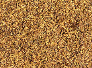 Image showing Tobacco Texture