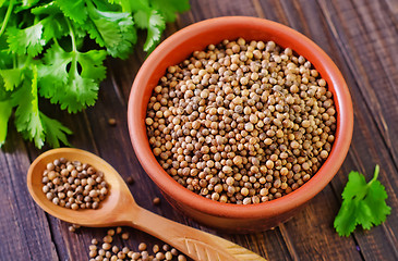 Image showing coriander