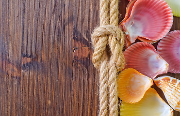 Image showing sea shells and rope