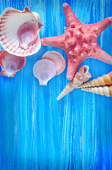 Image showing sea shells on blue board