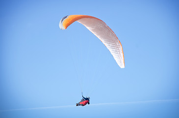 Image showing paraglider