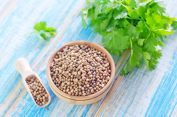 Image showing coriander