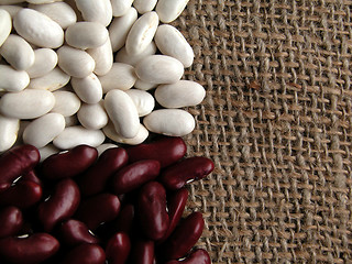 Image showing beans