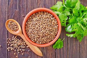 Image showing coriander